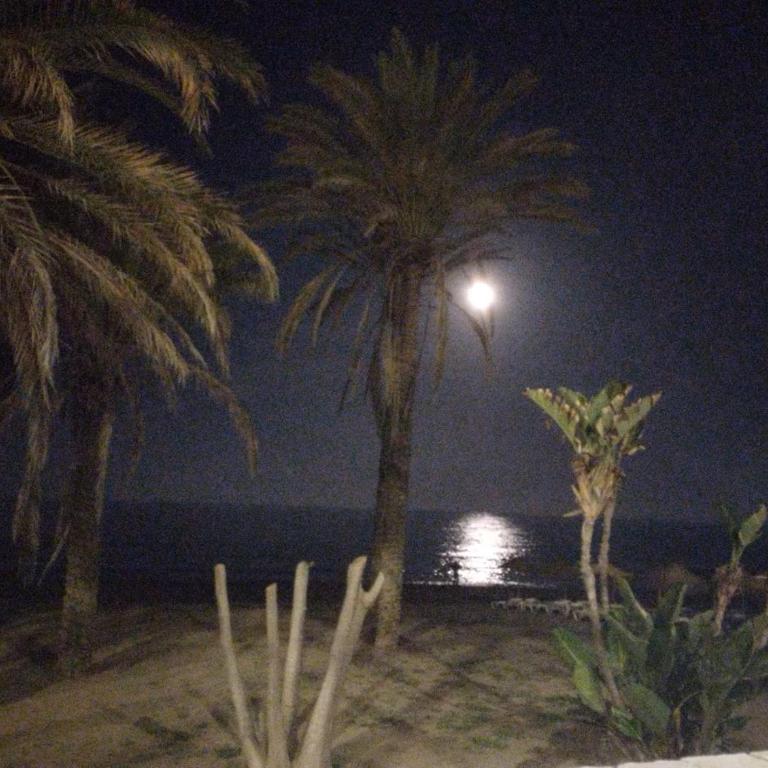 Prime Location! Flat with Sea View -Near Nightlife - Apartamento 1 dormitorio con vistas al mar y terraza - 29
