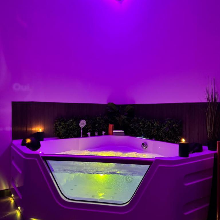Jacuzzi, massage et plage ! - Appartement 1 Chambre - 8