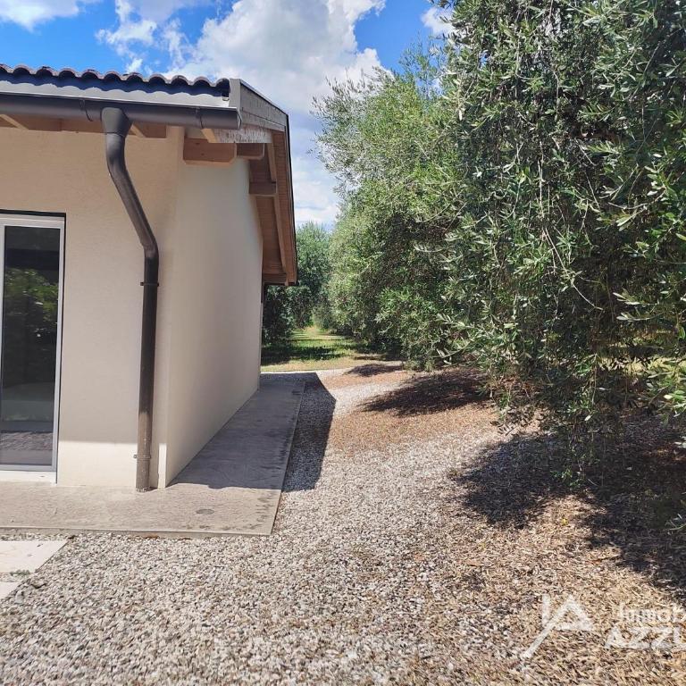 Olive Charme - Immobiliare Azzurra - Villa con Vista Giardino - 38