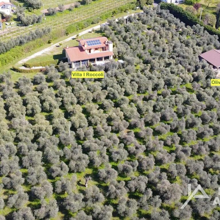 Olive Charme - Immobiliare Azzurra - Villa con Vista Giardino - 19