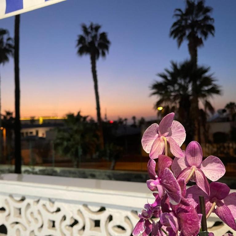 La Perla Playa de Las Américas - Apartamento de 1 dormitorio - 46