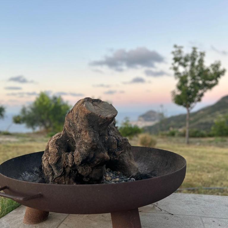 David - Casa Vacanze - 18