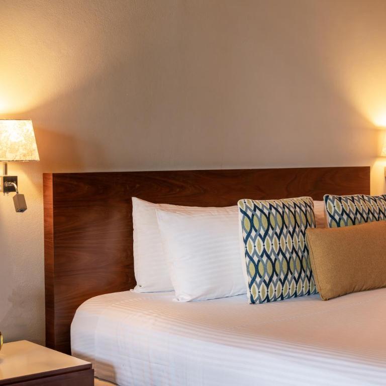 Villas Caracol - Suite Superior con cama extragrande - 3