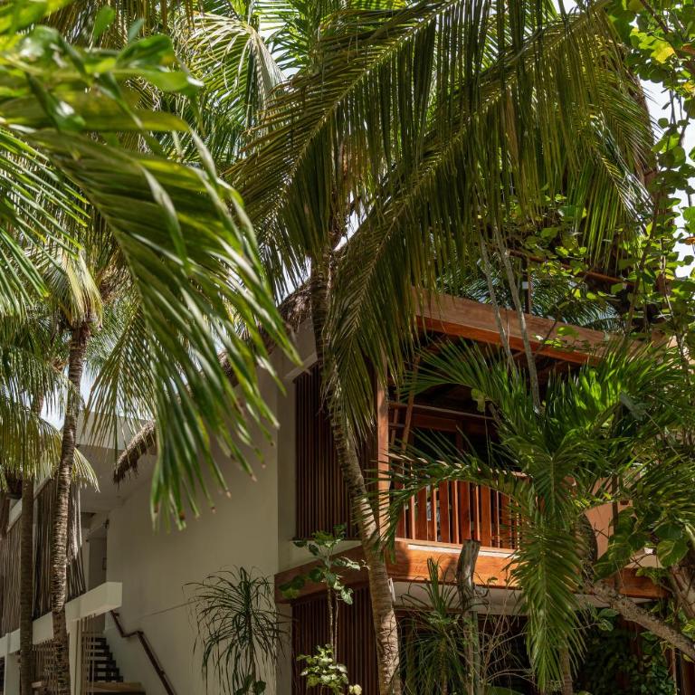 Villas Caracol - Suite Superior con cama extragrande - 4