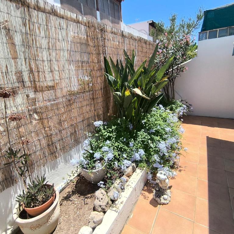 Benyamina House - Casa de 3 dormitorios - 2