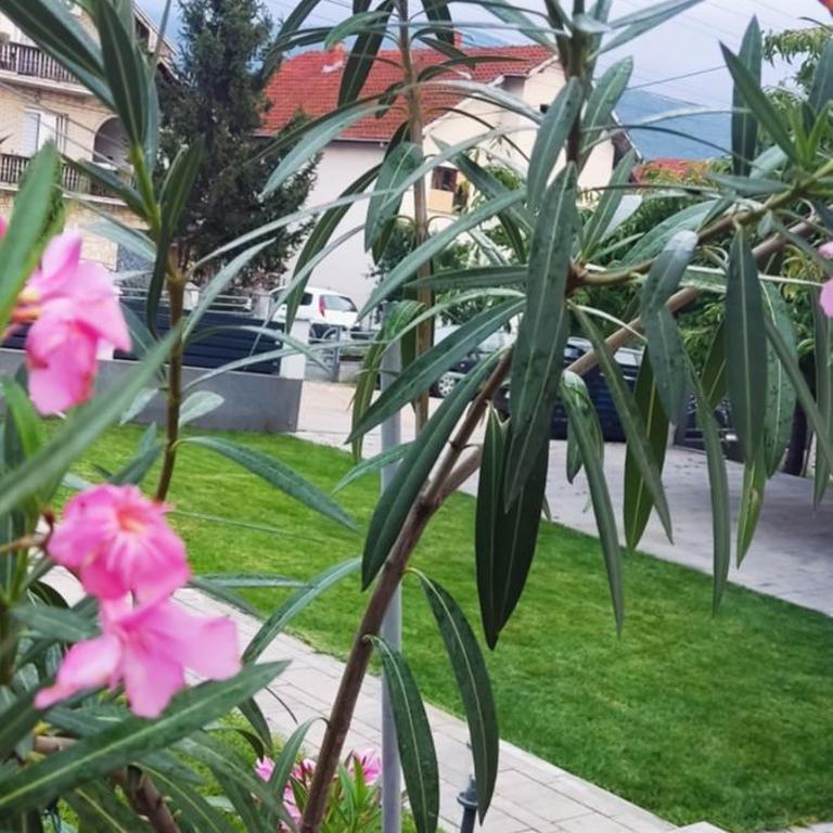 Soko S apartmani - Apartman sa 1 Spavaćom Sobom - 2