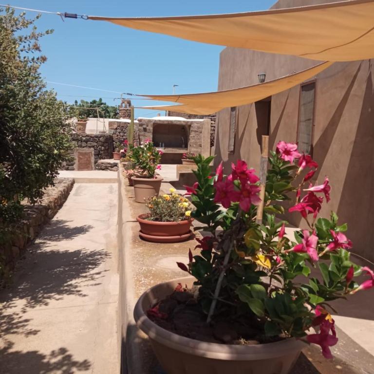 Dammuso le Vigne - Casa con 2 Camere da Letto - 10