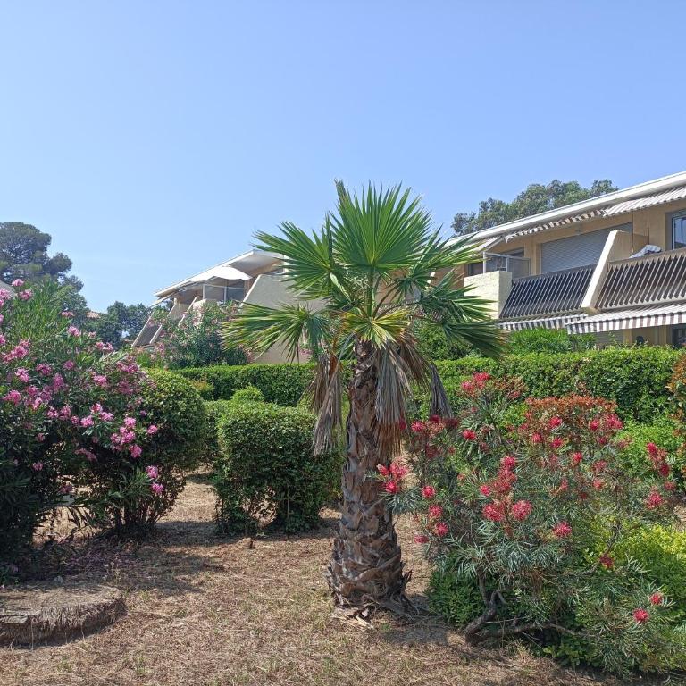 Mer et Jardin - Appartement 1 Chambre - 5