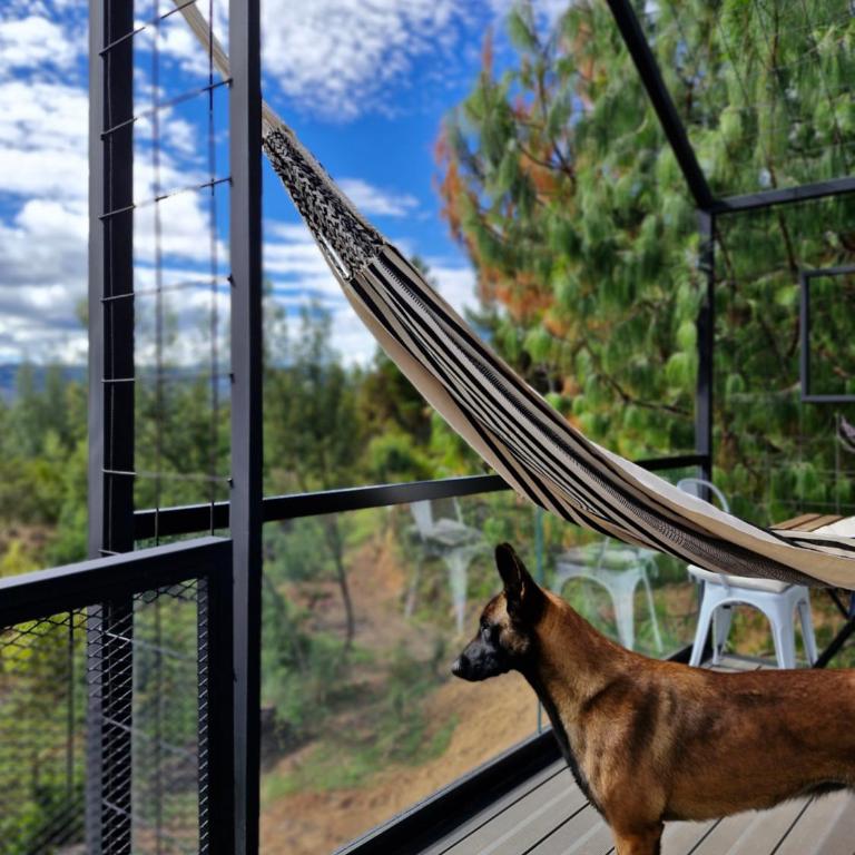 Vive Rela Tiny Houses - Chalet Superior - 2