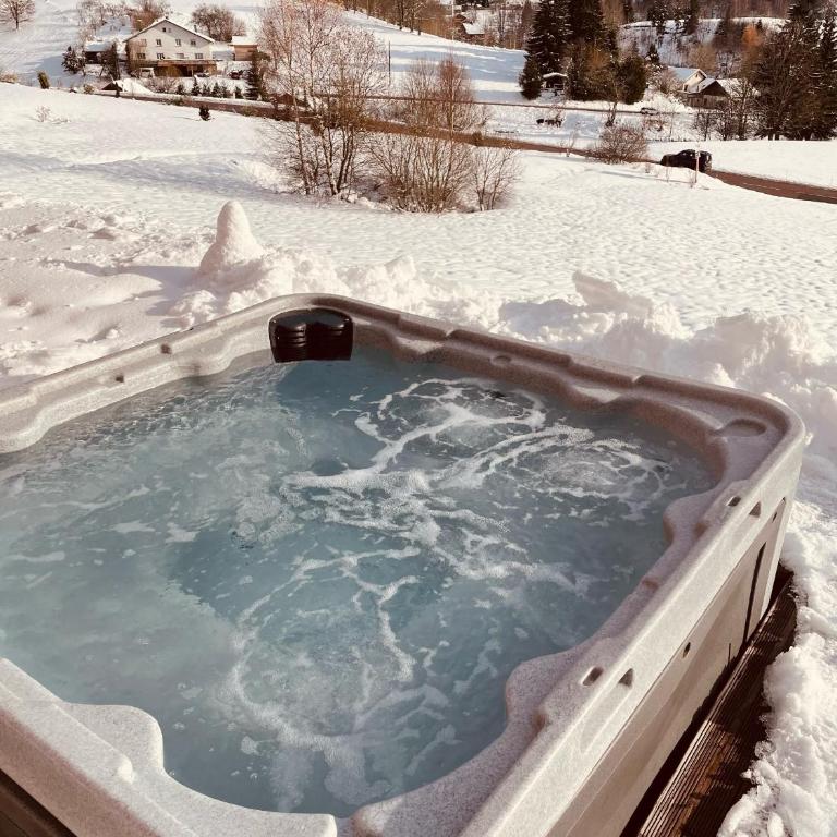La Gouleote Spacieuse maison type chalet avec jacuzzi, sauna, pétanque - Chalet - 35
