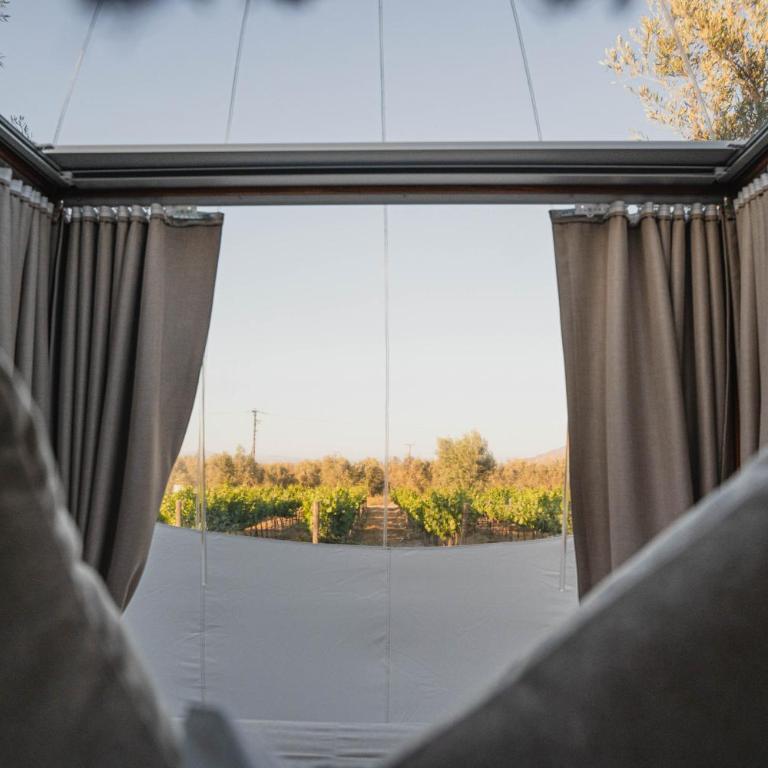 Campera Valle de Guadalupe - Bubble Deluxe with Hot Tub - 20
