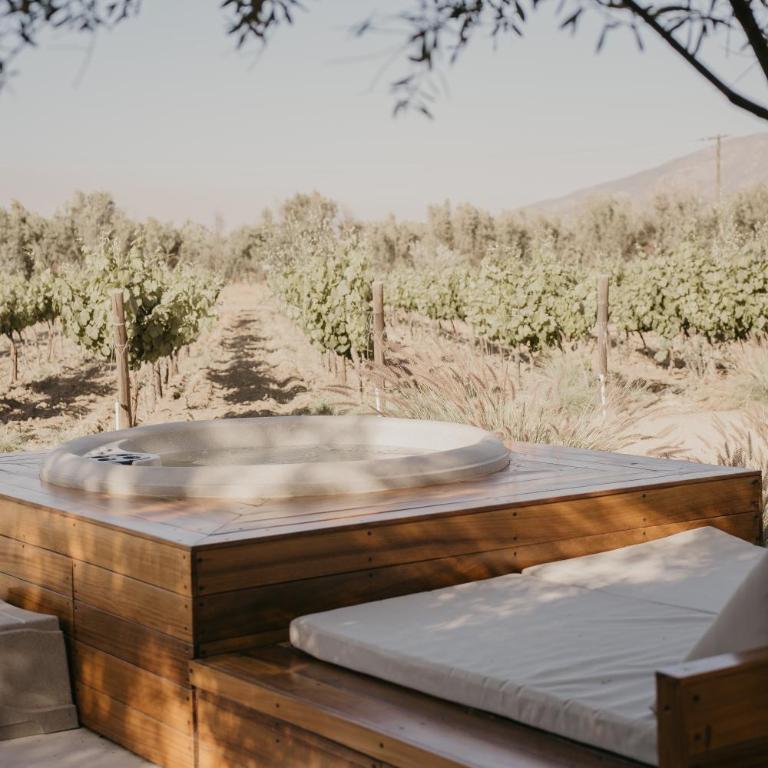 Campera Valle de Guadalupe - Bubble Supreme with Jacuzzi - 17