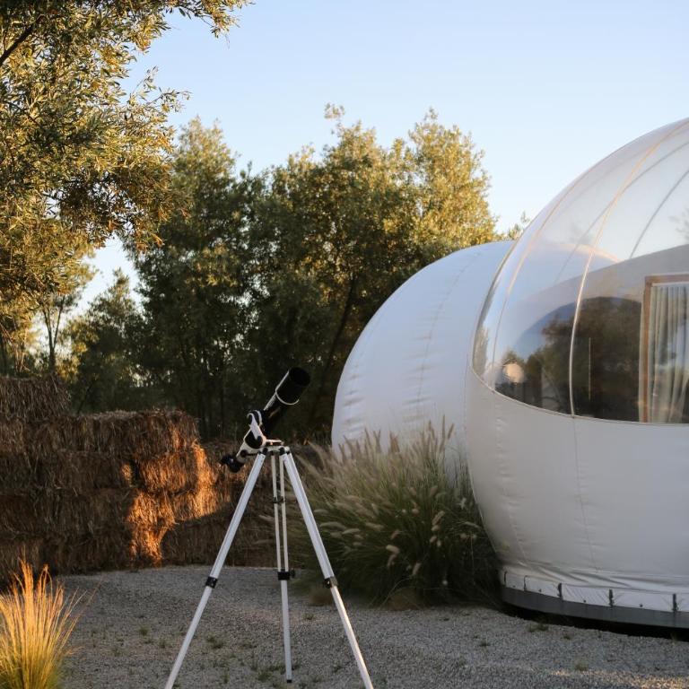 Campera Valle de Guadalupe - Bubble Deluxe with Hot Tub - 21