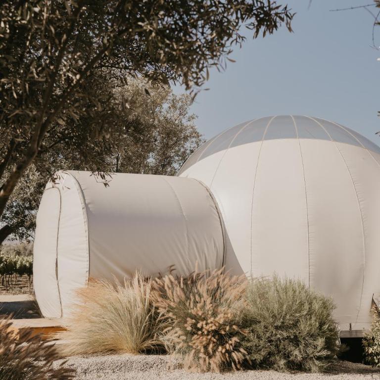 Campera Valle de Guadalupe - Bubble Supreme with Jacuzzi - 18