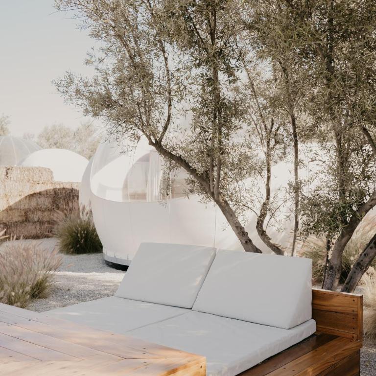 Campera Valle de Guadalupe - Bubble Supreme with Jacuzzi - 23