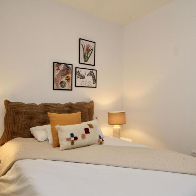 Monterería 2D - Two-Bedroom Apartment - 15
