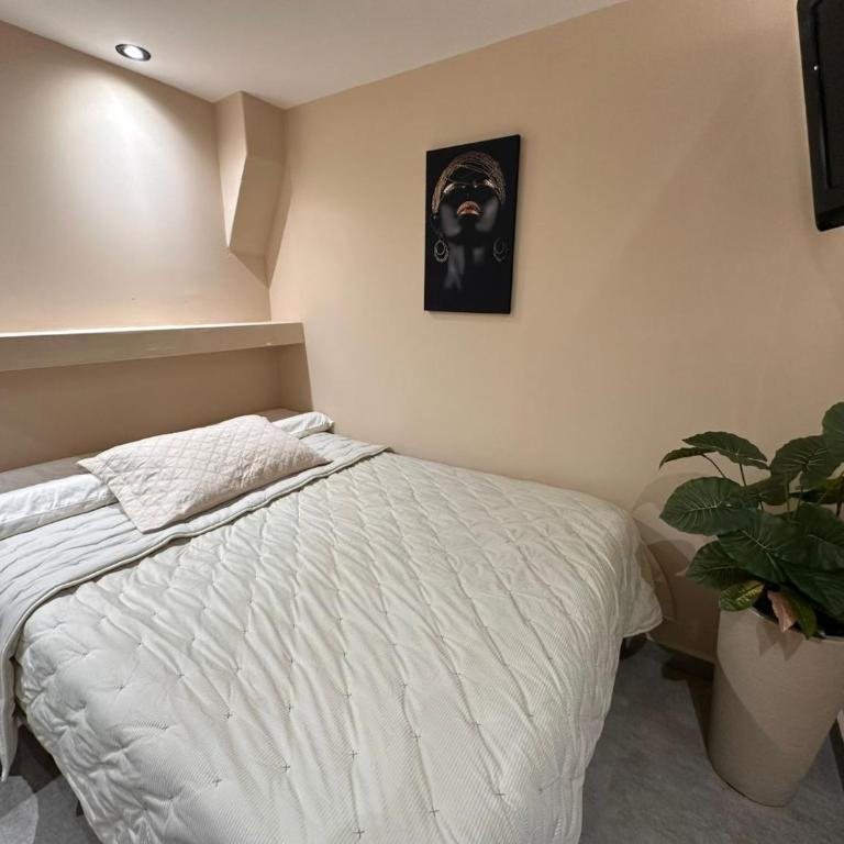 Apart hotel - Deluxe Room - 3