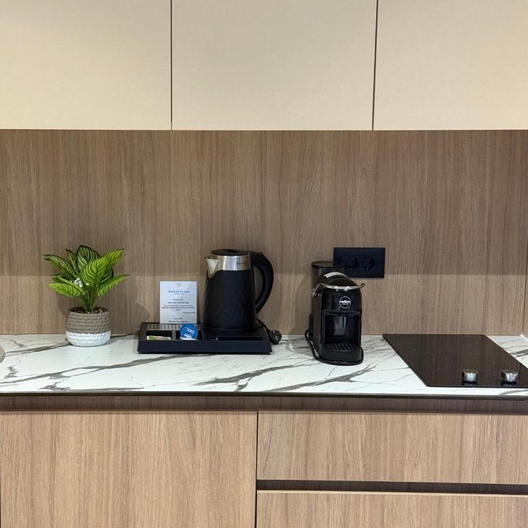 Hotel Ponta Plaza Conference & Spa - Apartman sa 1 Spavaćom Sobom i Pogledom - 9