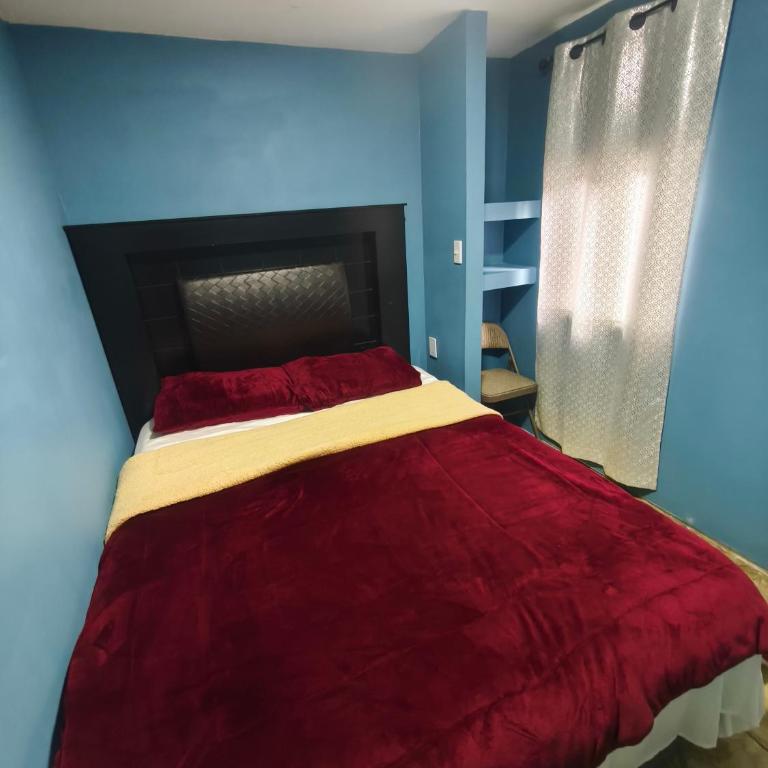 Don Cruz Places - Apartamento de 1 dormitorio - 1
