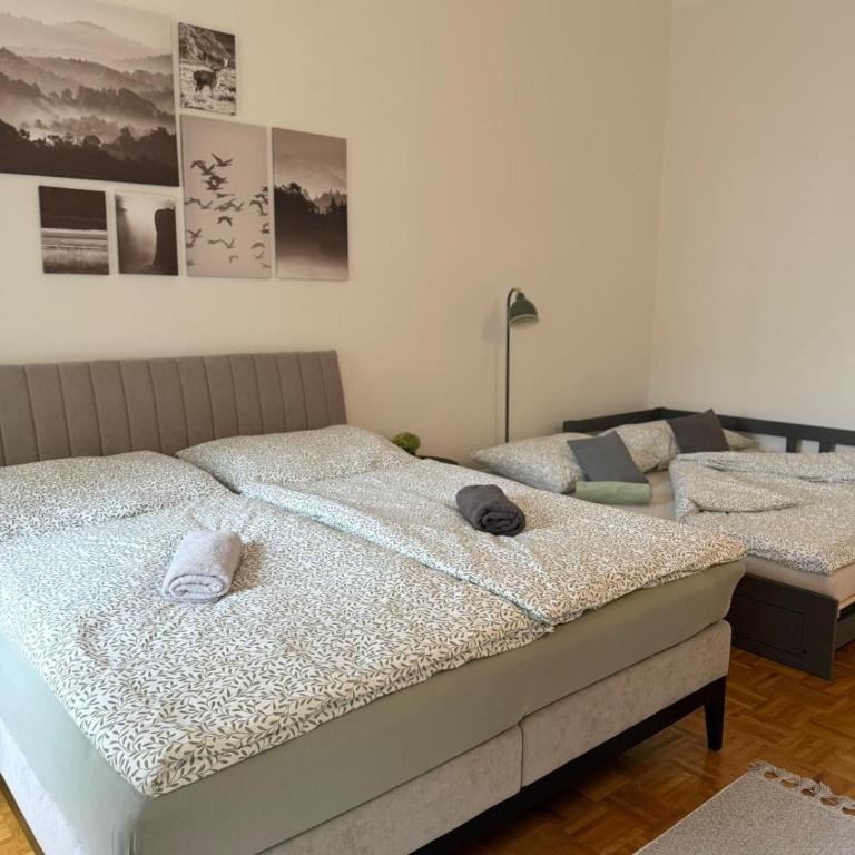 Ferienwohnung Klapothek - Appartamento - 15