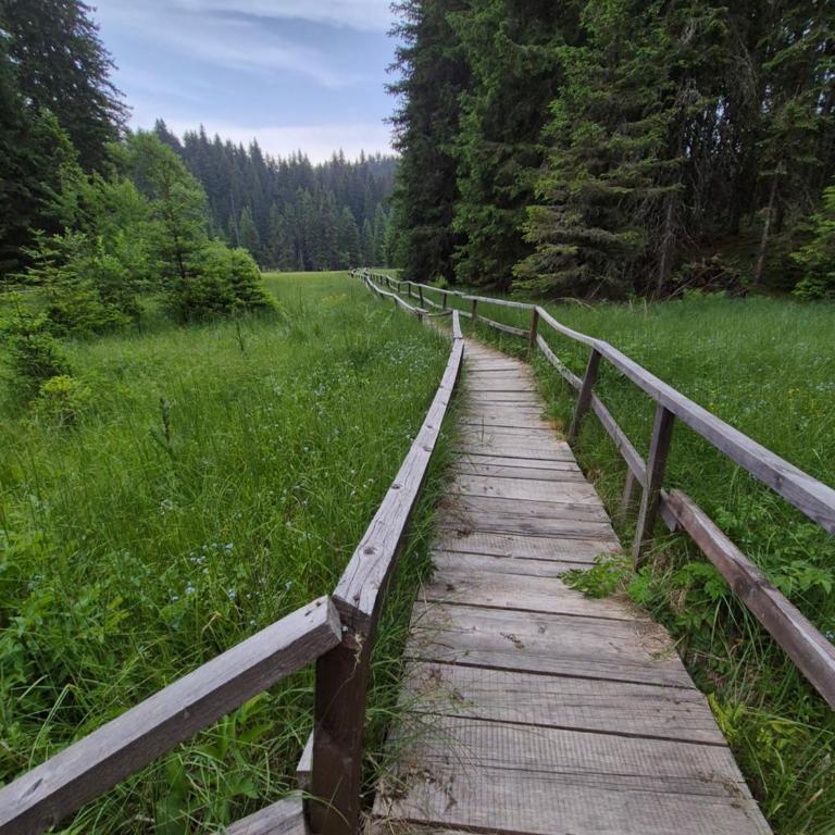 Milmari S70 Kopaonik - One-Bedroom Apartment - 25