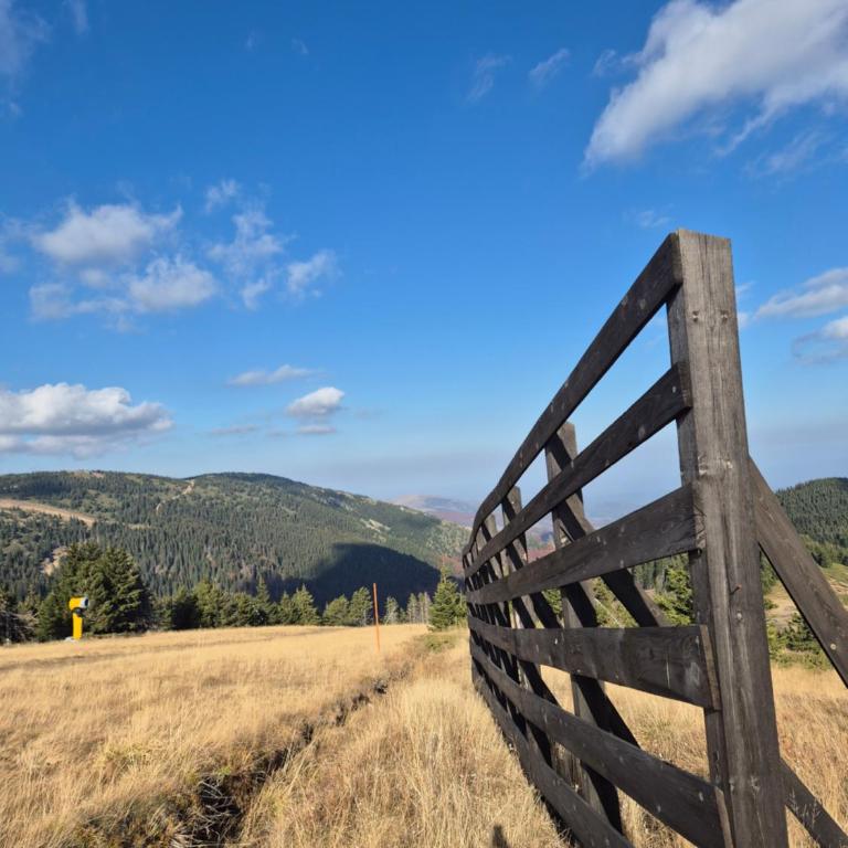 Milmari S70 Kopaonik - One-Bedroom Apartment - 24