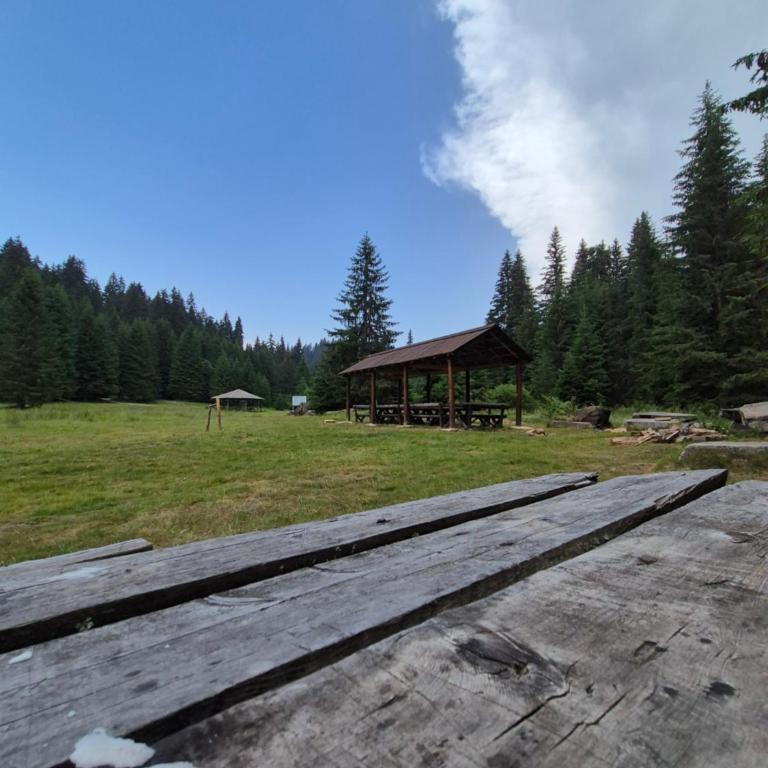 Milmari S70 Kopaonik - One-Bedroom Apartment - 23