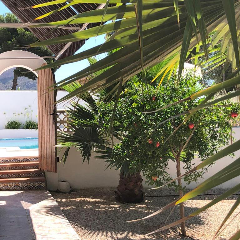 Villa Augusta on the Montgo near Javea - Villa Deluxe - 31