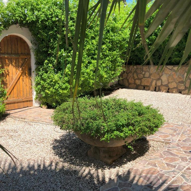 Villa Augusta on the Montgo near Javea - Villa Deluxe - 33