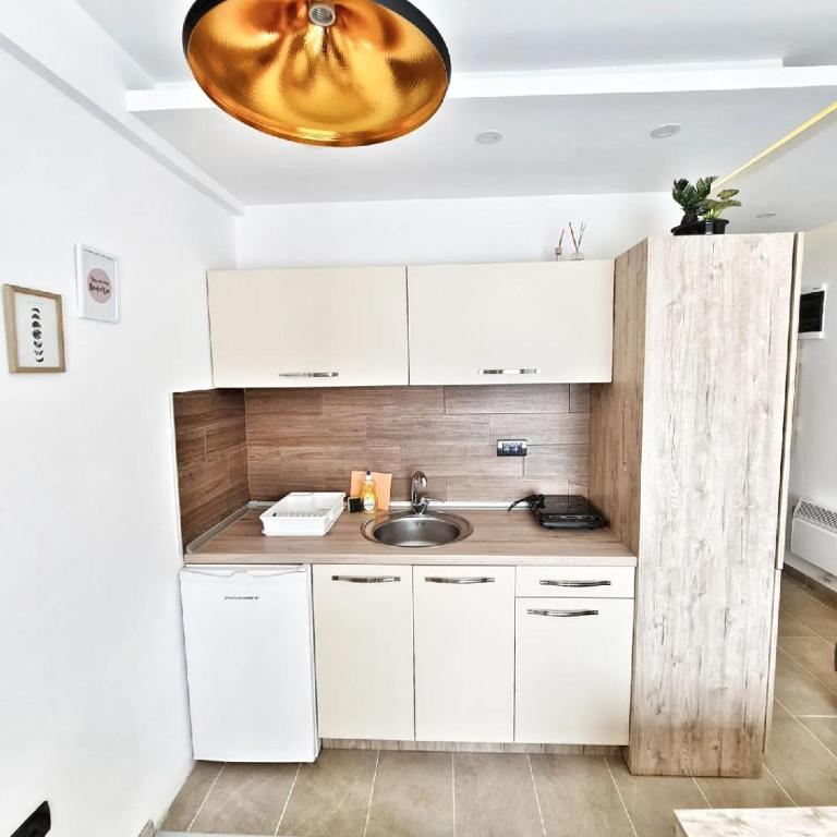 Milmari S70 Kopaonik - One-Bedroom Apartment - 13