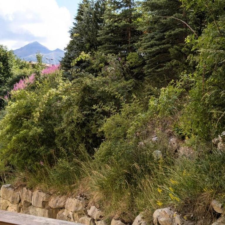 Le Chalet D'orcieres - Trois pièces 8 pers. résidence CHALET D'ORCIERES + place de parking couverte MAE-3233 - Appartement - 13