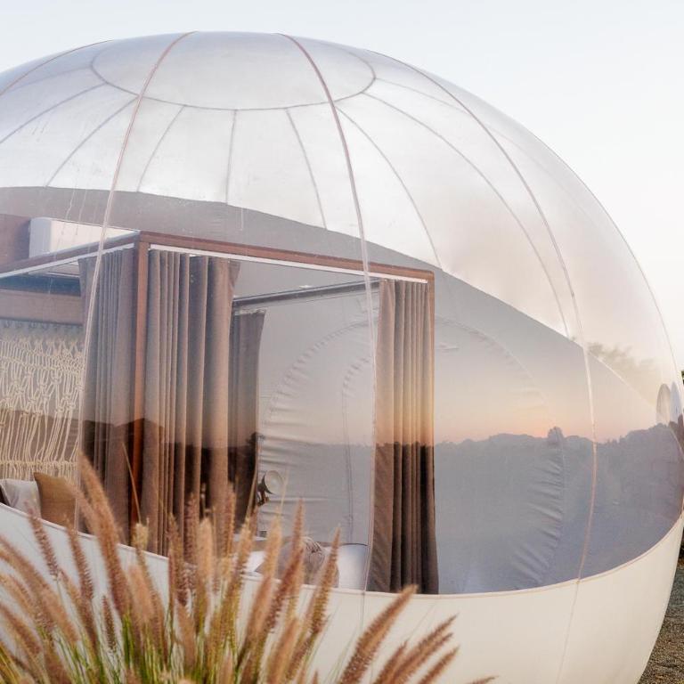 Campera Valle de Guadalupe - Habitación Bubble - 13