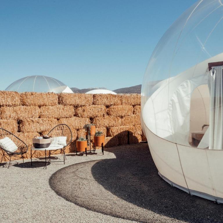 Campera Valle de Guadalupe - Habitación Bubble - 21