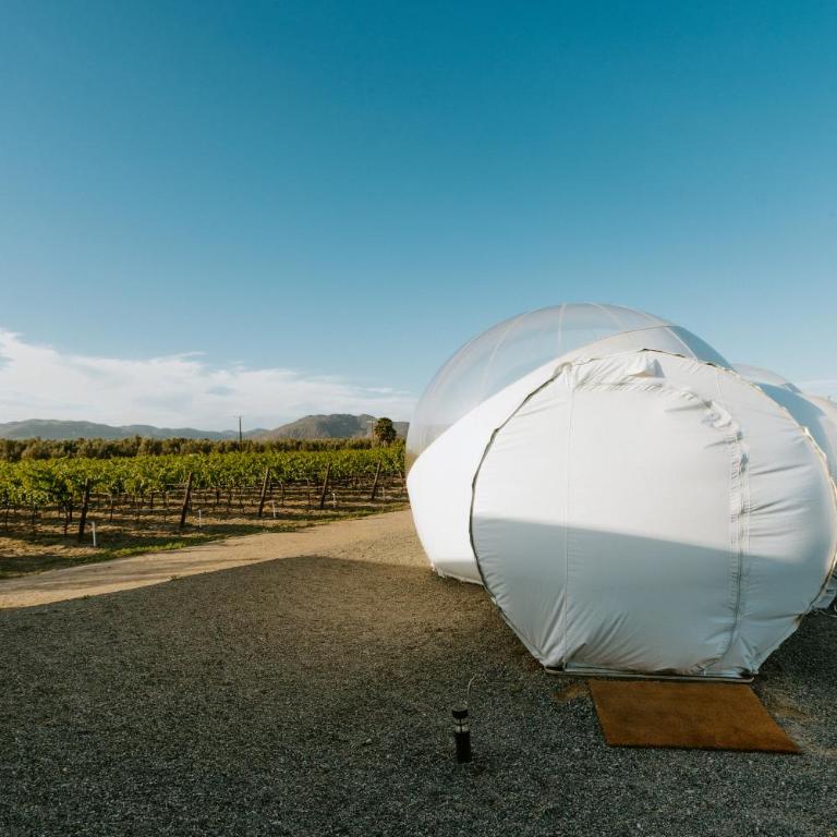 Campera Valle de Guadalupe - Habitación Bubble - 18