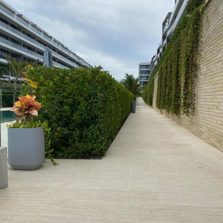 Hermoso y acogedor Monoambiente - Apartamento de 1 dormitorio - 78