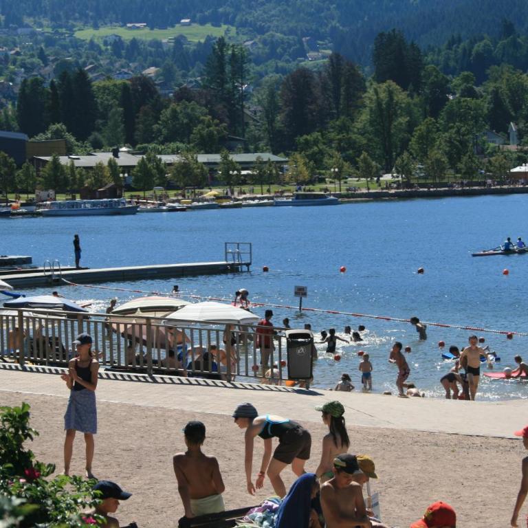 PETIT LUTIN à 250 m du bord du lac de Gérardmer - Appartement 2 Chambres - 17