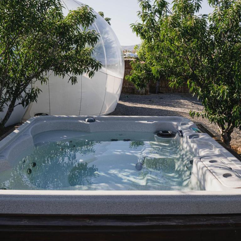 Campera Valle de Guadalupe - Bubble Deluxe with Hot Tub - 5