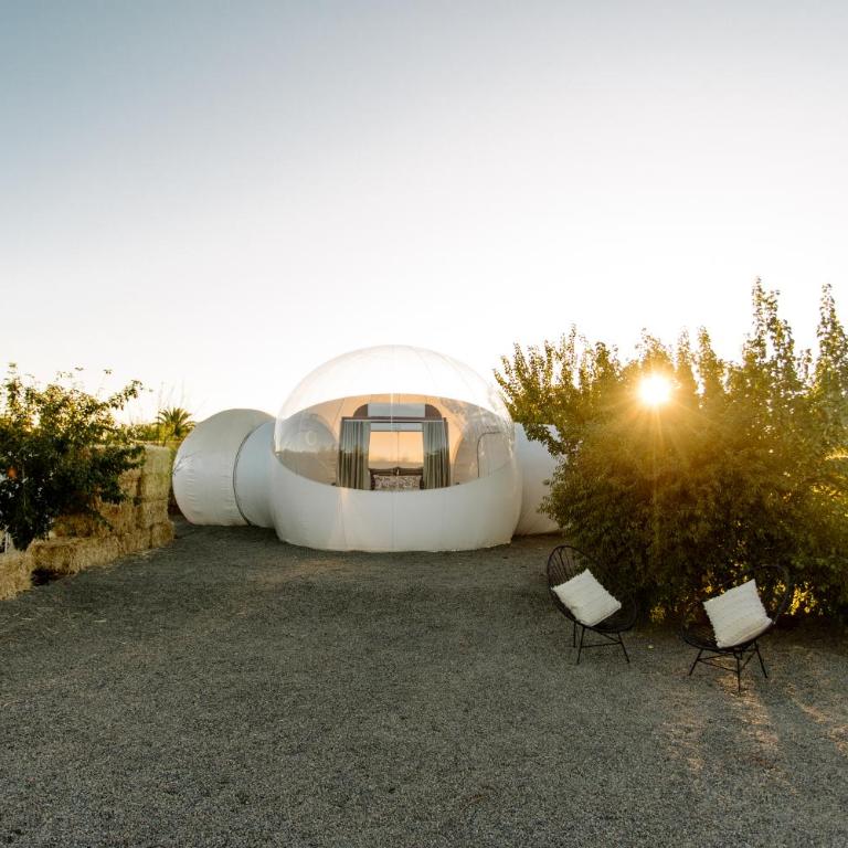 Campera Valle de Guadalupe - Bubble Deluxe with Hot Tub - 27