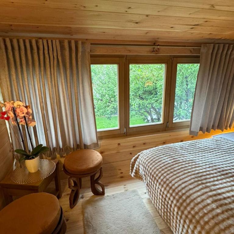 Princess Nina Kolašin - Superior Apartman sa 1 Spavaćom Sobom i Balkonom - 6