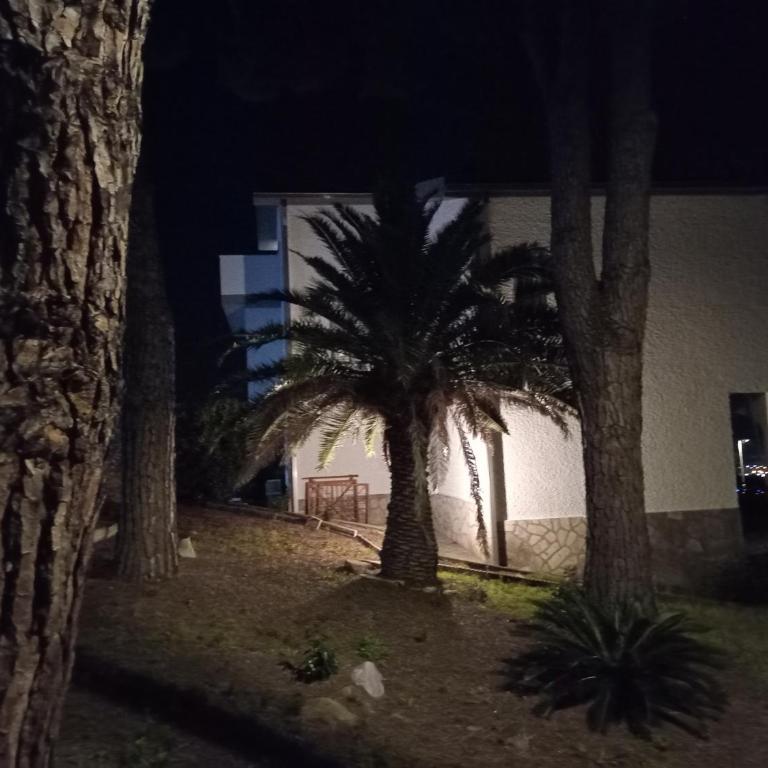 Villa Paolo attico appartamento loft matrimoniale piu singolo diviso da armadi,piu divano letto singolo - Estudio Deluxe - 11