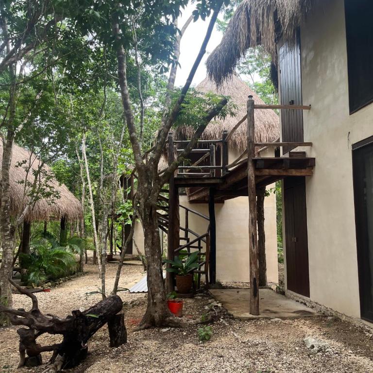 Sak lool Tulum - Casa de campo - 1