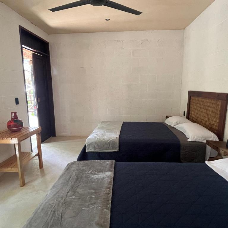 Sak lool Tulum - Casa de campo - 8