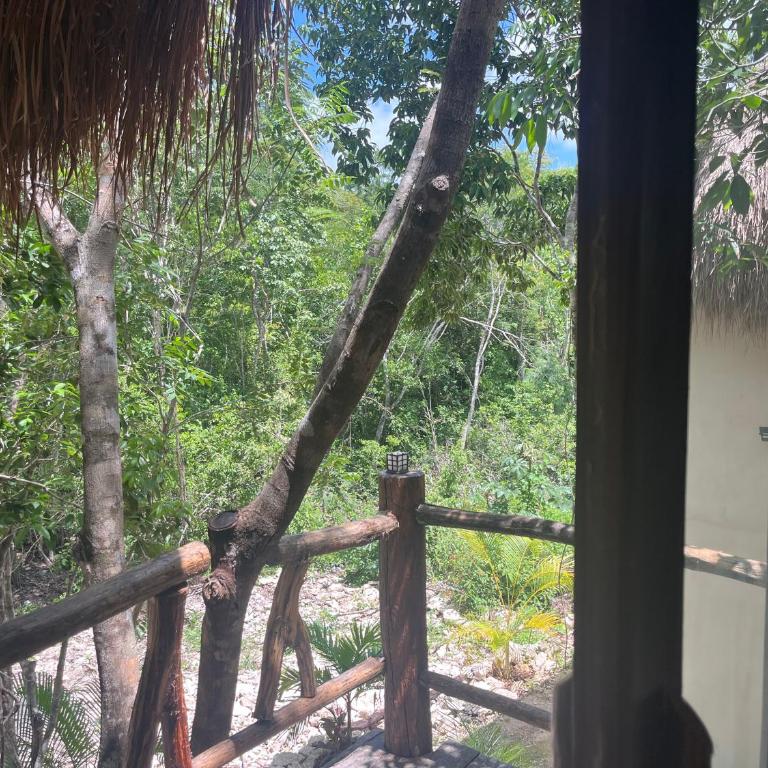 Sak lool Tulum - Casa de campo - 10