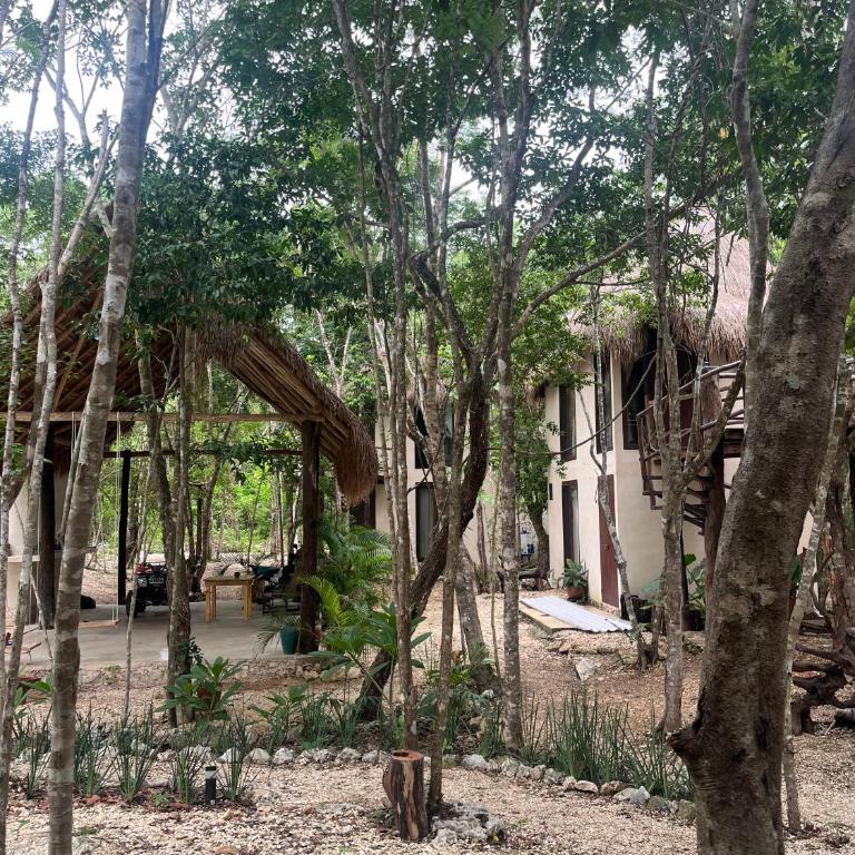 Sak lool Tulum - Casa de campo - 16