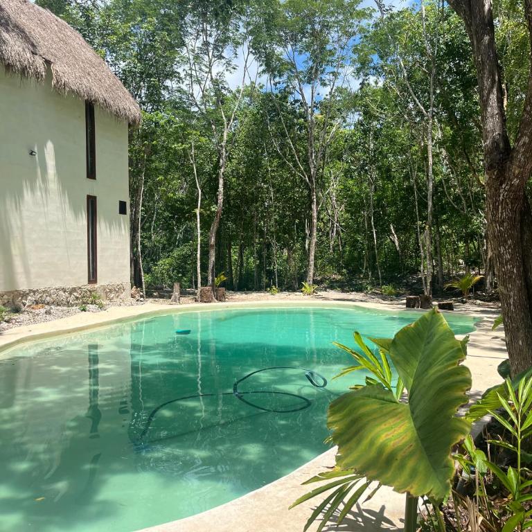 Sak lool Tulum - Casa de campo - 27
