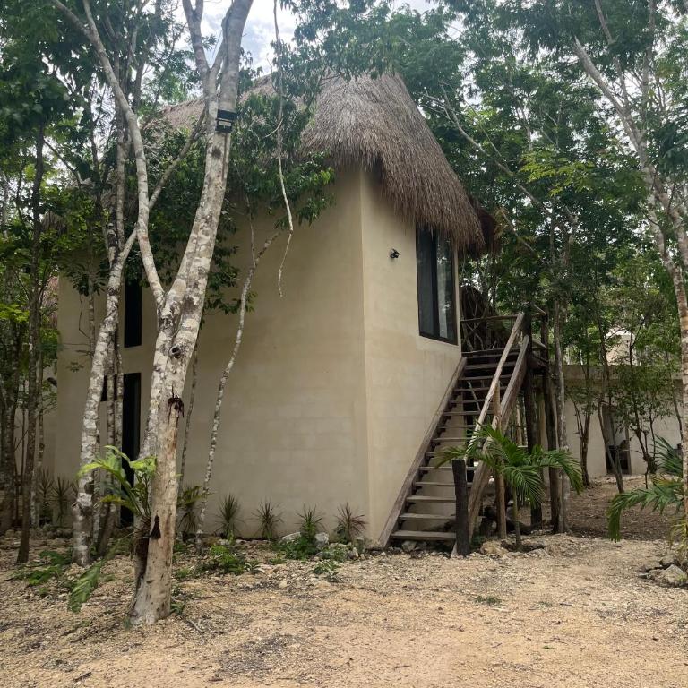 Sak lool Tulum - Casa de campo - 36