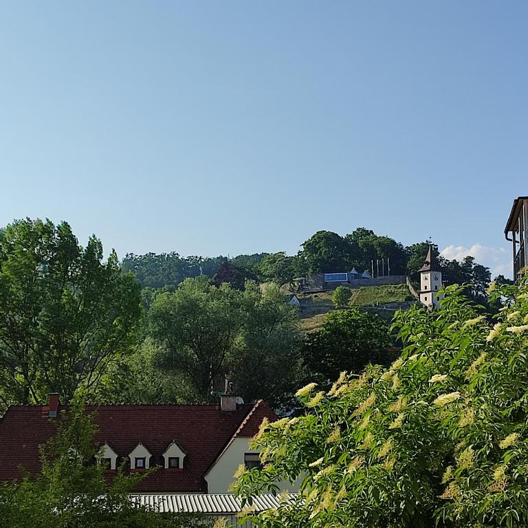 Schlossbergblick - Apartment mit 1 Schlafzimmer - 1