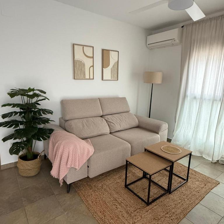 Oliva y Mar Paradise - Apartamento - 2