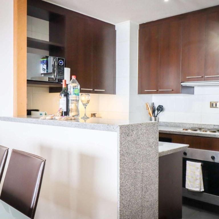 HOM I Valle Nevado SKI IN y OUT FrenteALaCordillera - Apartment - 65