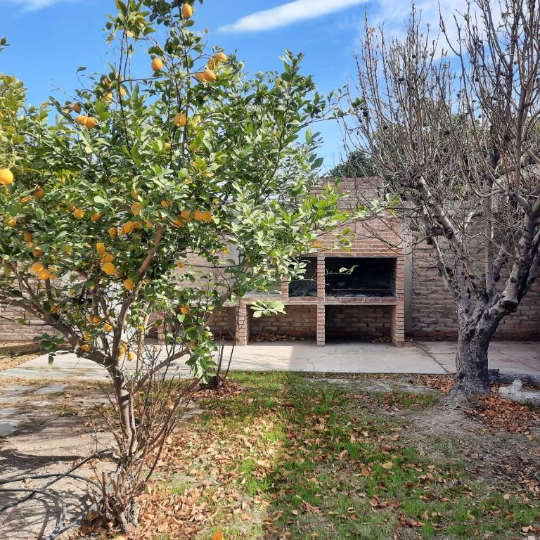 Linda estadia - Three-Bedroom Apartment - 9